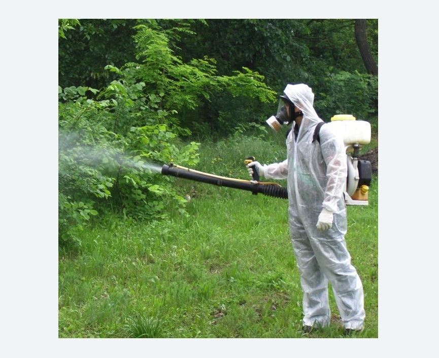 обработка территории от клещей в Кирсанове