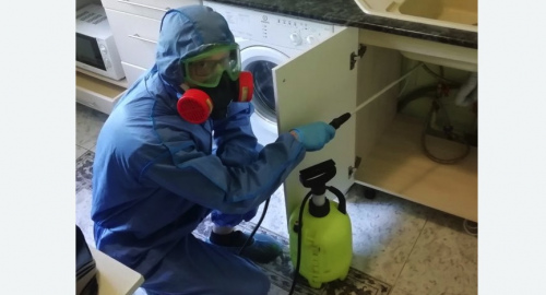 Уничтожение муравьев в квартире. Кирсанов