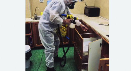Дезинсекция квартиры. Кирсанов