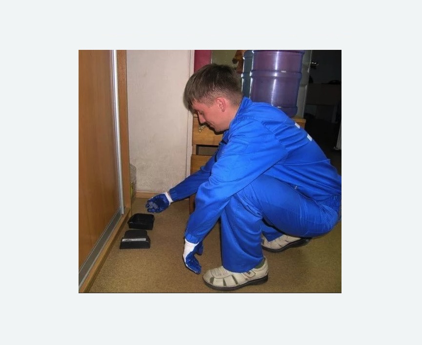 Дератизация крыс в Кирсанове