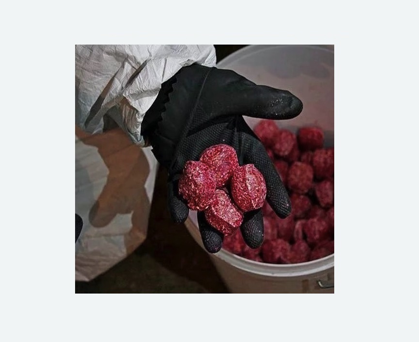 Обработка от крыс в Кирсанове