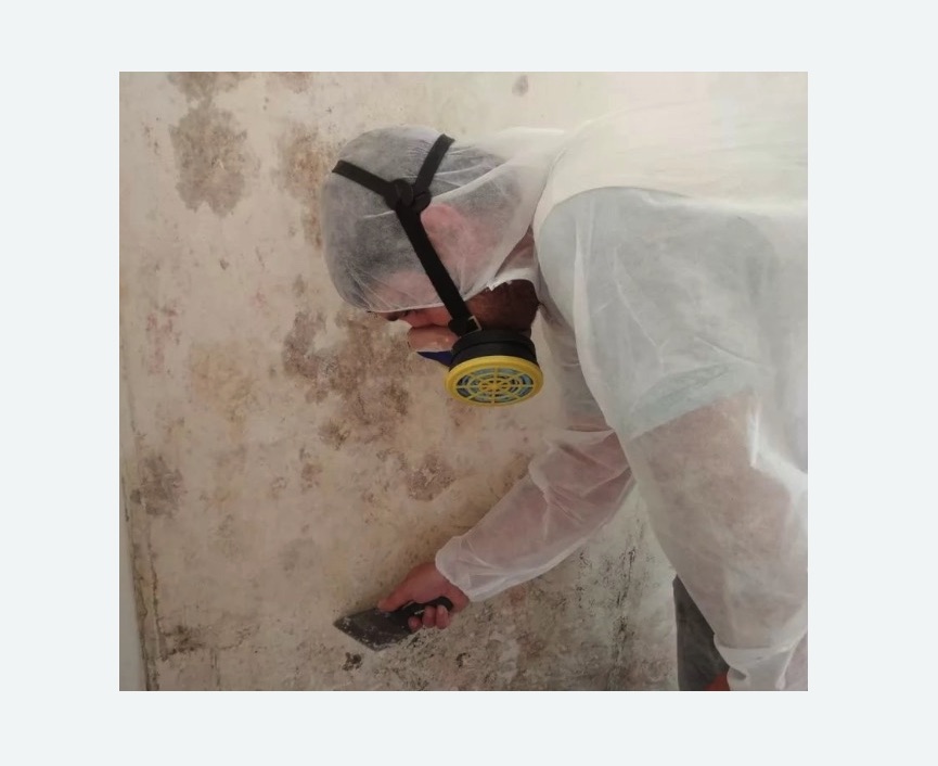 Обработка стен от плесени в Кирсанове