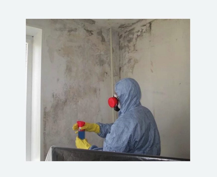 Удаление плесени в квартире в Кирсанове