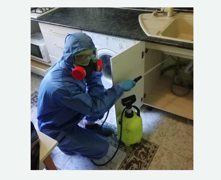 обработка от муравьев в квартире в Кирсанове