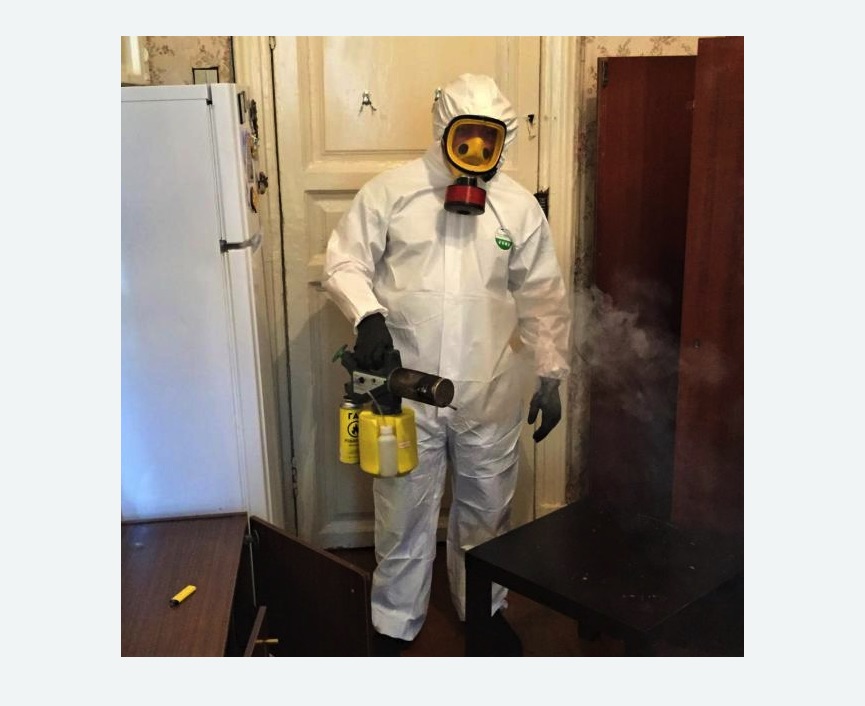 уничтожение муравьев в квартире в Кирсанове